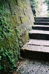 FH020008.jpg
