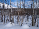 IMG_20200202_135018.jpg