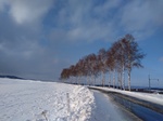 IMG_20200202_145109.jpg