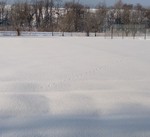 IMG_20200226_072959~2.jpg