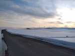IMG_20200304_163003.jpg